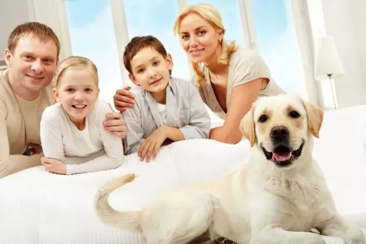Bagaimana cara merawat anjing? Tips Puppy Care di rumah, konten jalan yang tepat. Bagaimana cara merawat wol? 12355_2