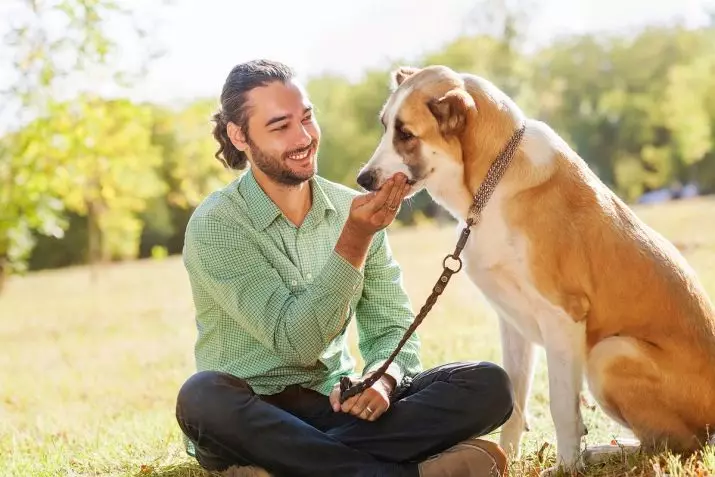 Hundevaner: Sådan forstår du et kæledyrs adfærd? Usædvanlige handlinger og deres betydning. Hvilke vaner er hvalpe om 2 måneder? 12356_24