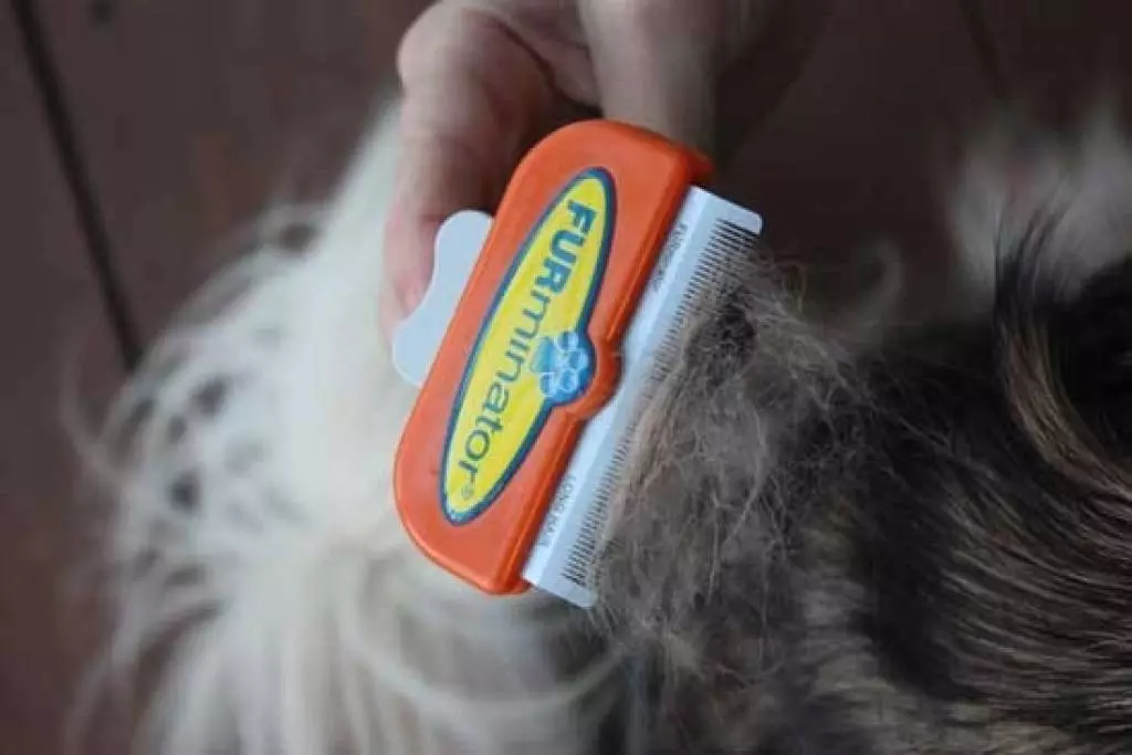 FURminator շների համար (22 լուսանկար): Ինչ է դա: Թե ինչպես կարելի է օգտագործել սանր համար համակցումից բուրդ. Ինչպես ընտրել furmine խոզանակ երկար մազեր եւ կարճ մազեր շների. 12364_18