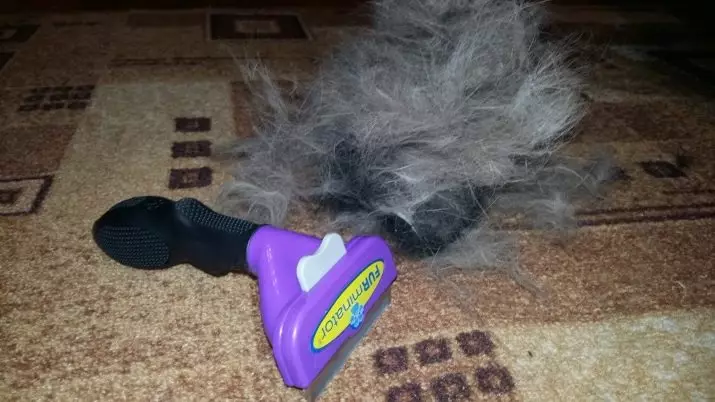 狗的Furminator（22张）：它是什么？如何使用梳子梳理羊毛？如何为长发和短发狗选择毛刷刷？ 12364_2