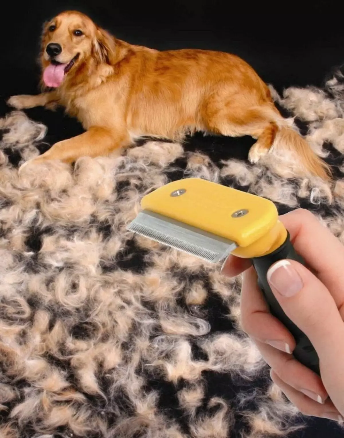 Furminator pour chiens (22 photos): Qu'est-ce que c'est? Comment utiliser le peigne pour peigner la laine? Comment choisir une brosse furmine pour les chiens à poil long et aux cheveux courts? 12364_5
