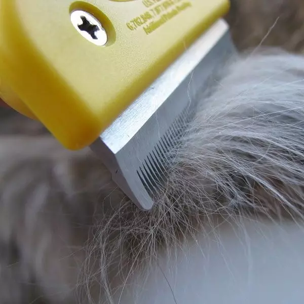 Furminator pour chiens (22 photos): Qu'est-ce que c'est? Comment utiliser le peigne pour peigner la laine? Comment choisir une brosse furmine pour les chiens à poil long et aux cheveux courts? 12364_6