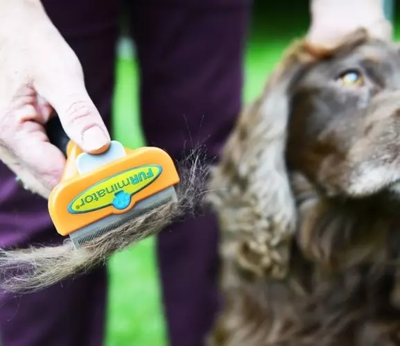 Furminator pour chiens (22 photos): Qu'est-ce que c'est? Comment utiliser le peigne pour peigner la laine? Comment choisir une brosse furmine pour les chiens à poil long et aux cheveux courts? 12364_7