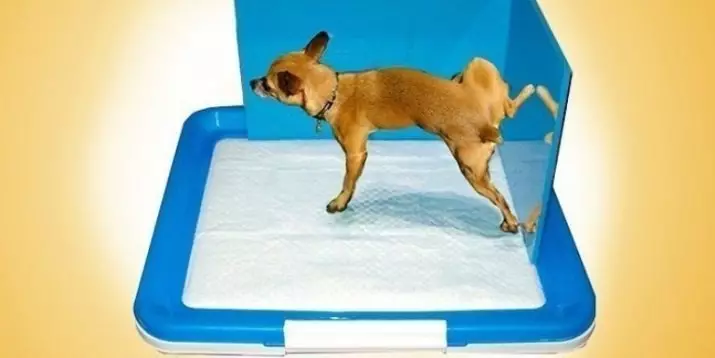 ძაღლებისთვის ქაღალდი: როგორ ასწავლეთ ლეკვი და ზრდასრული ძაღლი სვეტთან ერთად? როგორ ავირჩიოთ სახლის ტუალეტი ძაღლების პატარა და დიდი ჯიშების ძაღლებისთვის? 12366_2