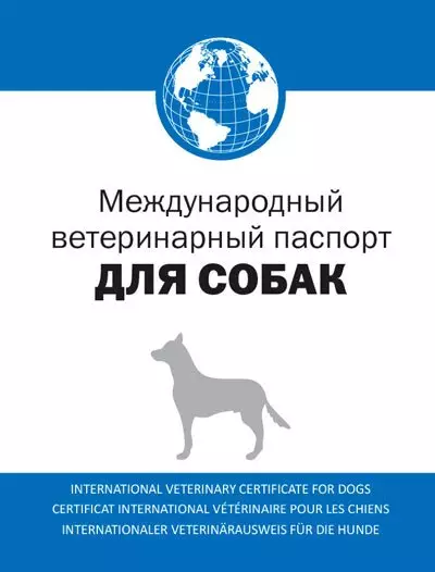 Alabai (88 foto): Karakteristik dari jenis Gembala Asia Tengah, kekhasan perawatan anak-anak anjing dan anjing dewasa, ulasan pemilik 13208_57