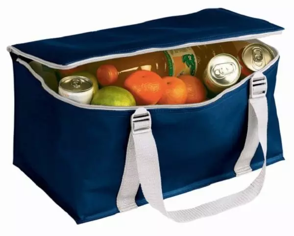 Чанта хладилник, термос чанта със собствените си ръце (35 снимки): как да се направи у дома, майсторски клас от пяна, модели 13255_3