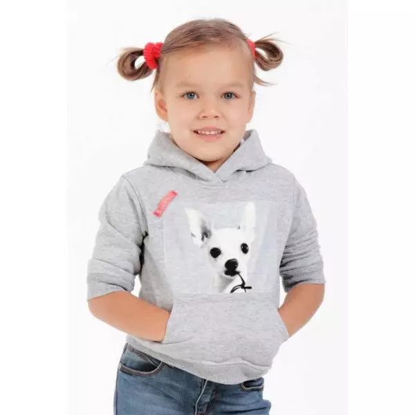 Sweatshirt for the girl (80 photos): adolescent models for girls 10-12 and 13-14 years old, Sweatshirt Faberlik, Nekst, on Fur, Lightning 1326_3