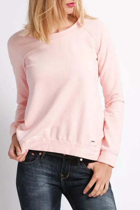 Female Sweatshirts (238 Billeder): Moderigtigt, Hoody, Store Størrelser, Lyn, Lang, Bomber, Sport, Varm 1339_40