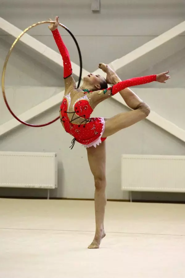 Костюми для художньої гімнастики (60 фото): гімнастичний костюм для виступів для дівчаток 13611_52
