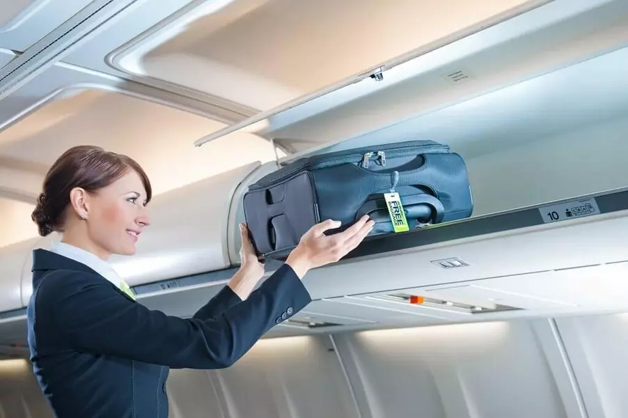 מזוודות עבור מטען יד: גודלם במטוס, מזוודות קטנות 55x40x20 על גלגלים ואחרים, דירוג של מודלים האור הטובים ביותר 13627_4