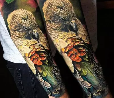 Tattoo me zogjtë (76 foto): Vlera dhe skica. Tatuazhe në qafë dhe në klavikulën e vajzave, në gjoks dhe mbi supet, në pjesën e prapme dhe këmbën, në lopatë dhe në pjesë të tjera të trupit 13741_60
