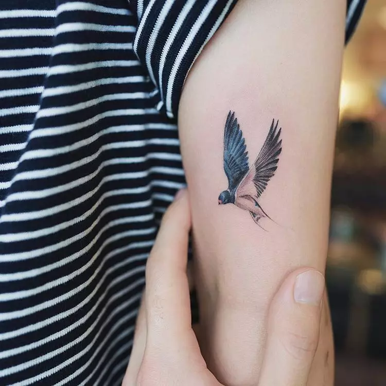 Tattoo ar putniem (76 fotogrāfijas): vērtība un skices. Tetovējumi uz kakla un meiteņu klaviera, uz krūtīm un uz pleciem, uz muguras un kājas, uz lāpstas un uz citām ķermeņa daļām 13741_65