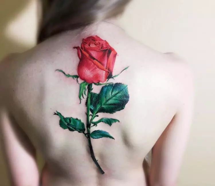 Tattoo rose for jenter (51 bilder): verdi, tatovering på hånd og ben, på håndledd og lår, skisser. Tatovering på børstene, skulderen og andre deler av kroppen 13761_4