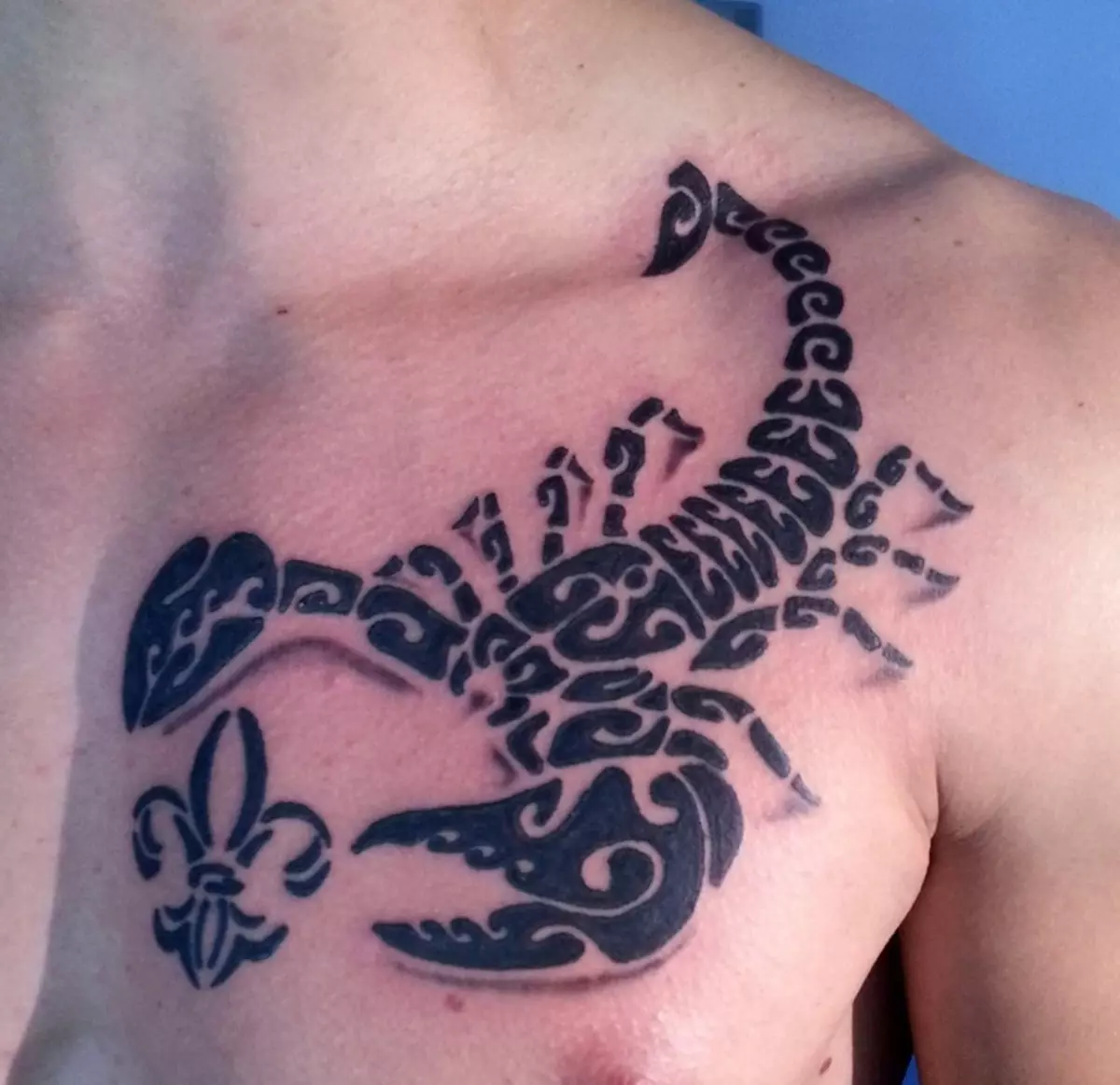 Tatuiruotė su skorpionais (69 nuotraukos): vertė ir eskizai. Tatuiruotės ant rankų ir ant peties, ant kaklo ir krūtinės, piešinių ant kastuvo, ant kojų ir kitų kūno dalių 13780_21