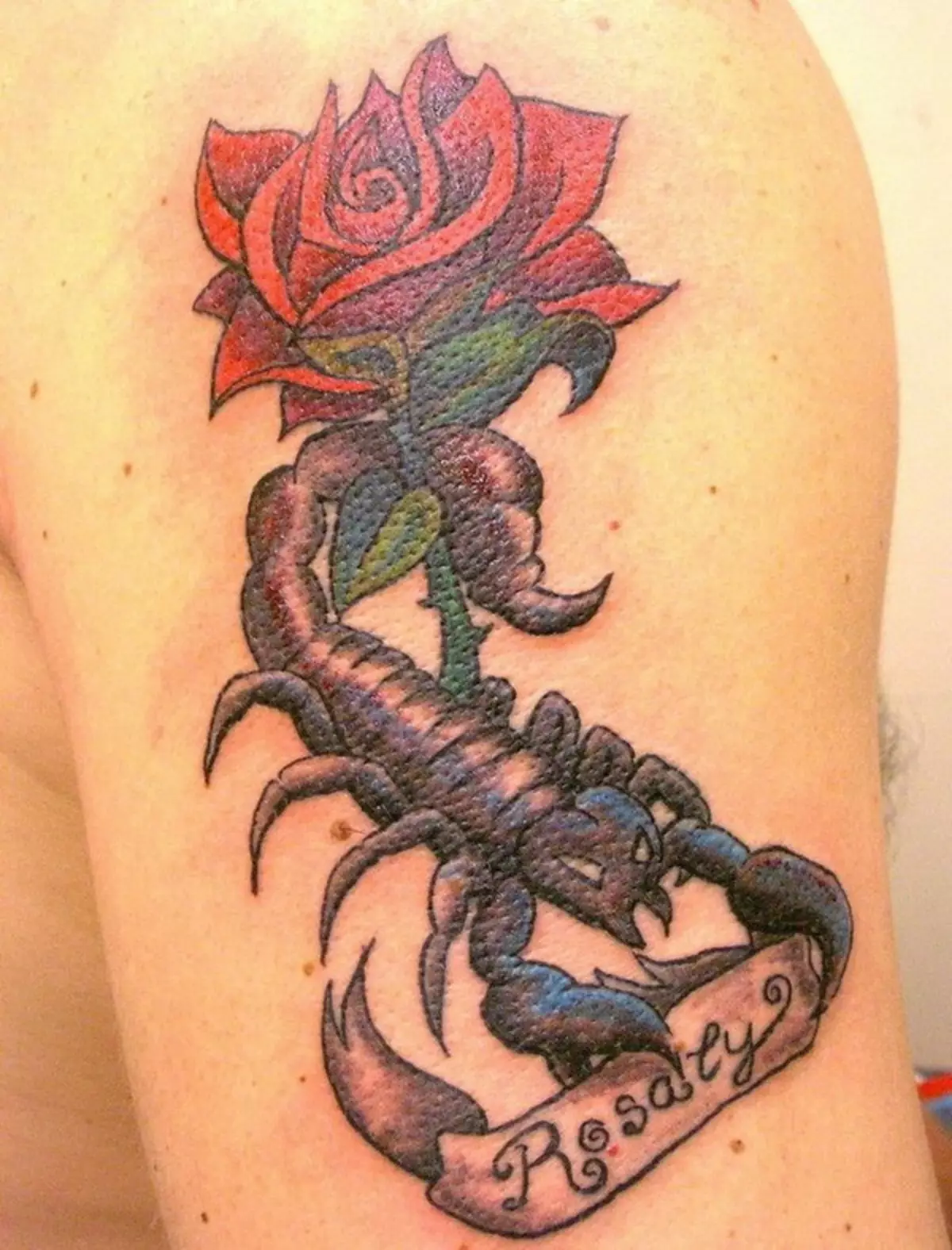 纹身用蝎子（69张照片）：价值和草图。纹身在手上和肩膀上，在脖子上和胸部，在铲子上画画，在腿上和身体的其他部分 13780_33