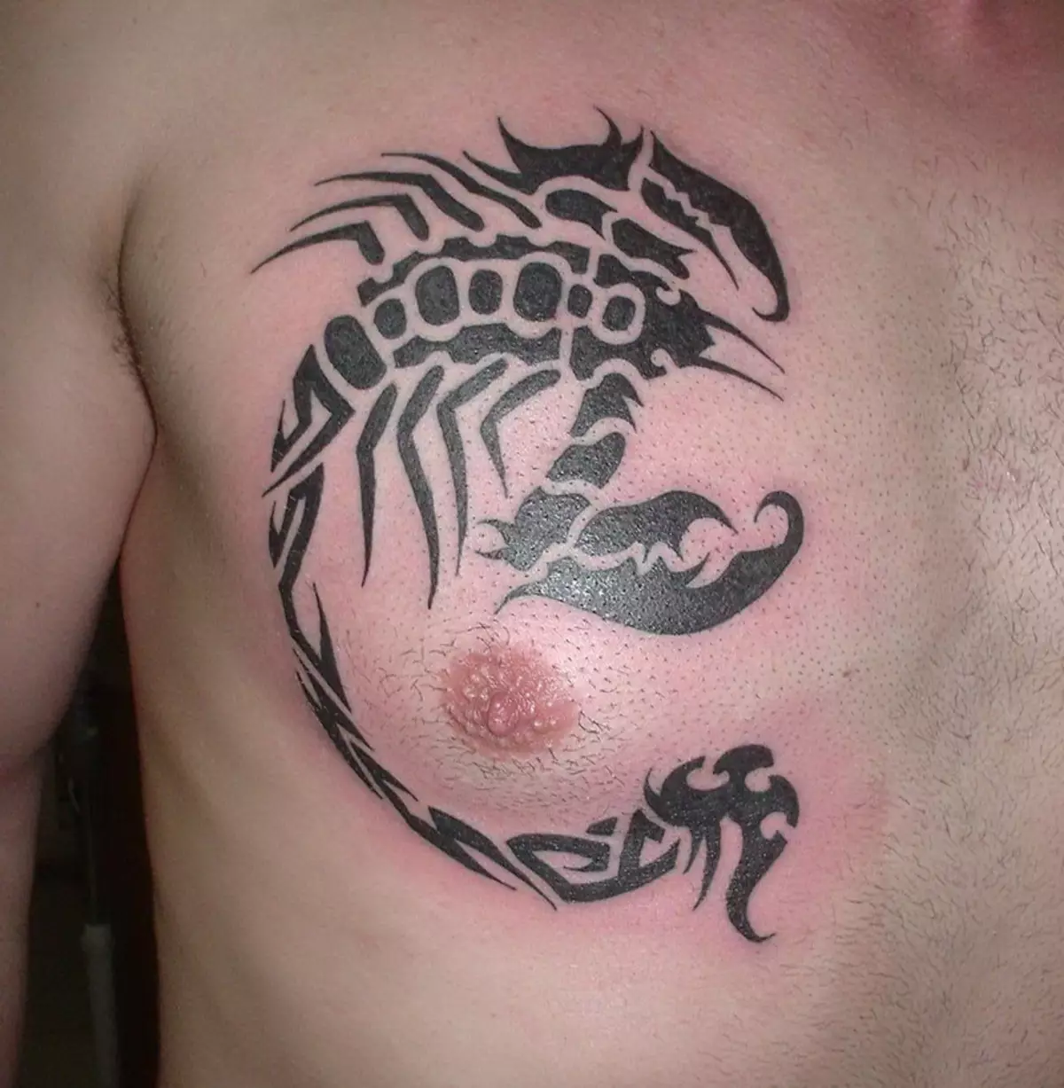 Tetovaža sa škorpionima (69 fotografija): vrijednost i skice. Tetovaže na ruci i na ramenu, na vratu i na grudima, crteži na lopatu, na nozi i na ostalim dijelovima tijela 13780_44
