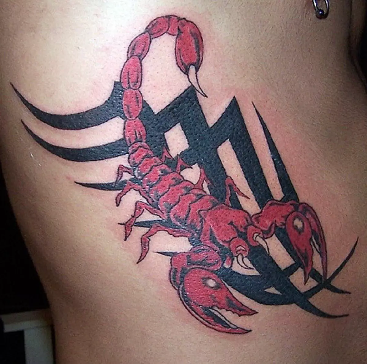 Tattoo with scorpions (69 photos): value and sketches. Tattoos on hand and on the shoulder, on the neck and on the chest, drawings on the shovel, on the leg and on other parts of the body 13780_59