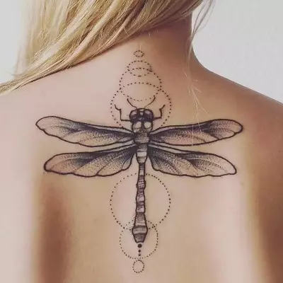 Tattoo koos Dragonfly (47 fotot): tätoveeringute väärtus tüdrukutele ja meestele, mini-tätoveeringu visandid ja suured tätoveeringud randmele ja seljale, õlale ja muudele kehaosadele 13916_11