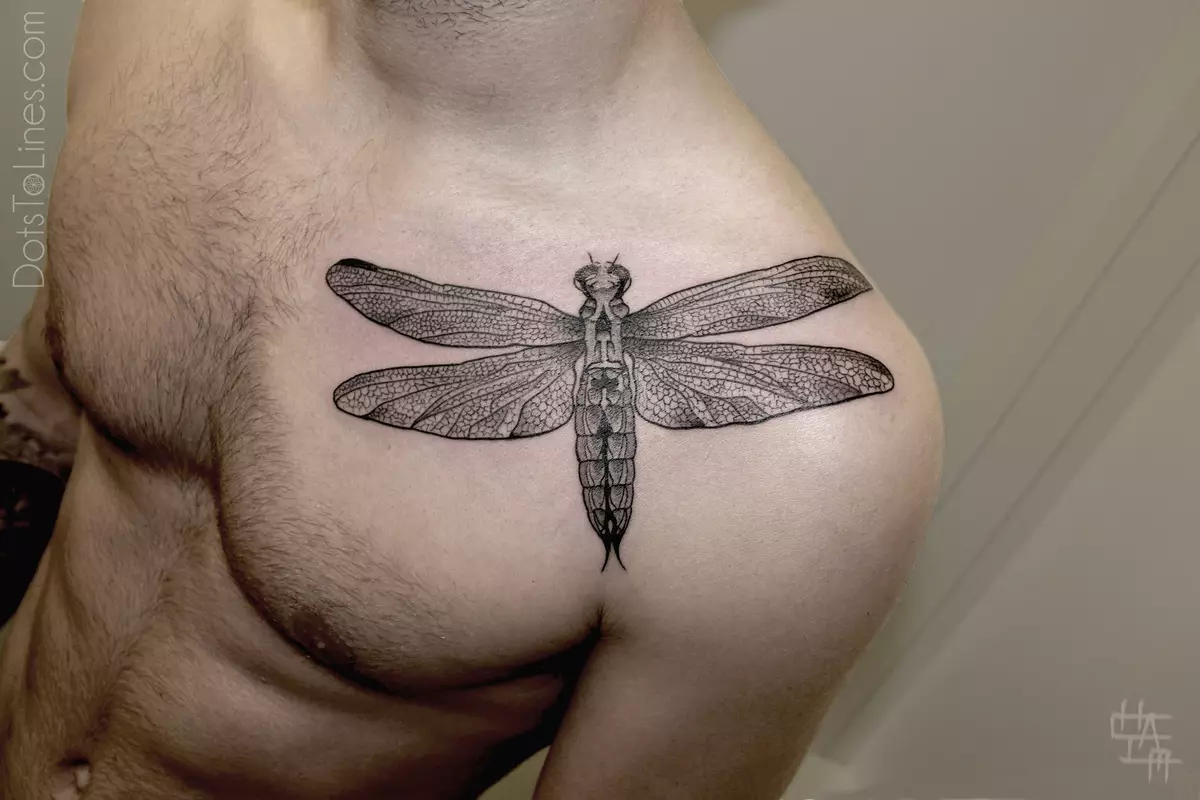 Dragonfly کے ساتھ ٹیٹو (47 فوٹو): لڑکیوں اور مردوں کے لئے ٹیٹو کی قیمت، منی ٹیٹو اور بڑے، کلائی پر ٹیٹو اور پیچھے پر، کندھے پر اور جسم کے دیگر حصوں پر 13916_14