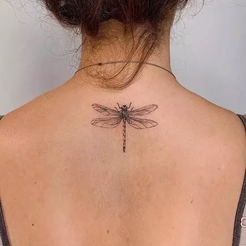 Tattoo kun Dragonfly (47 fotoj): la valoro de tatuoj por knabinoj kaj por viroj, skizoj de la mini-tatuo kaj granda, tatuo sur la pojno kaj malantaŭe, sur la ŝultro kaj sur aliaj partoj de la korpo 13916_21