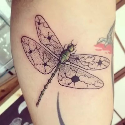 Tattoo kun Dragonfly (47 fotoj): la valoro de tatuoj por knabinoj kaj por viroj, skizoj de la mini-tatuo kaj granda, tatuo sur la pojno kaj malantaŭe, sur la ŝultro kaj sur aliaj partoj de la korpo 13916_25