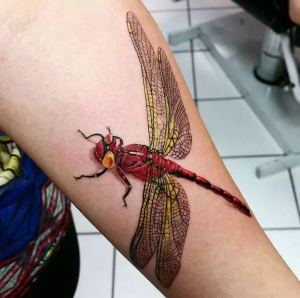 Tattoo z Dragonfly (47 fotografij): vrednost tetovaže za dekleta in za moške, skice mini-tattoo in velike, tetovaže na zapestju in na hrbtu, na rami in na drugih delih telesa 13916_39
