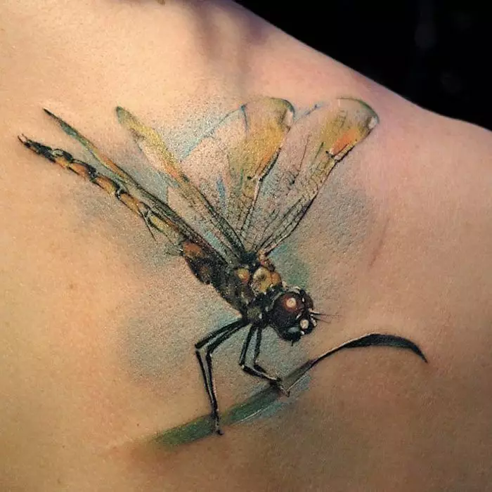 Tatuaggio con libellula (47 foto): il valore dei tatuaggi per ragazze e per uomini, schizzi del mini-tatuaggio e grande, tatuaggio al polso e sulla schiena, sulla spalla e su altre parti del corpo 13916_40