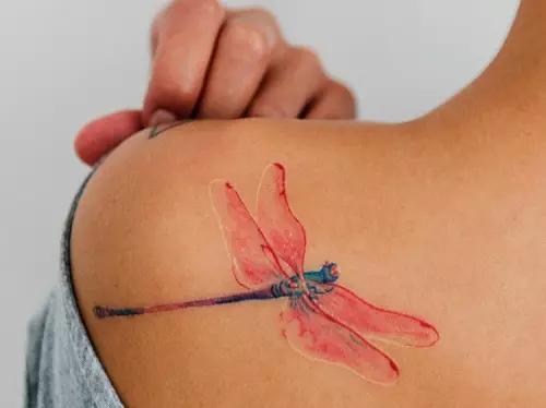 Таттоо са Драгонфли (47 фотографија): вредност тетоважа за девојчице и за мушкарце, скице мини-тетоваже и велике тетоваже на зглобу и на леђима, на рамену и на осталим деловима тела 13916_7