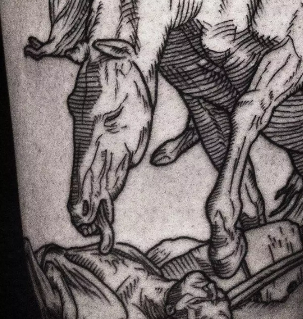 Tattoo Engraving: Sceitsí de tatú, gnéithe de stíl engraving, tattoo i bhfoirm sleeves agus roghanna líníochtaí eile 13929_29