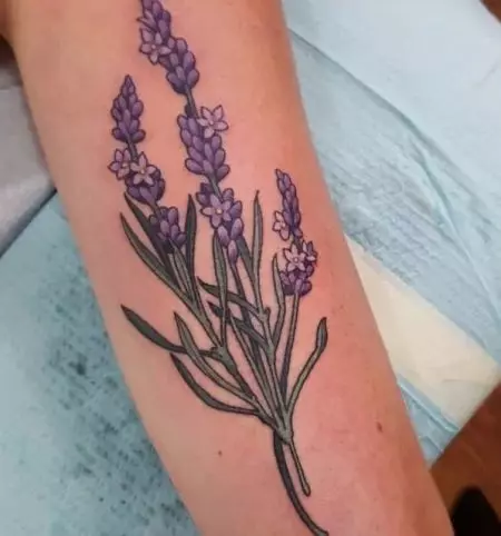 TATTOO WITH LAVENDER: Værdien af ​​tatoveringer til piger og for mænd, skitser. Tatovering på hånden og på clavicle, på benet og på håndleddet, på ribbenene og på andre dele af kroppen 13943_19