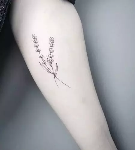 Tattoo ine lavender: Iko kukosha kweTattoos yevasikana uye kune varume, sketches. Tattoo paruoko uye pane clavicle, pagumbo uye pachiuno, pamabvu uye pane dzimwe nhengo dzemuviri 13943_20