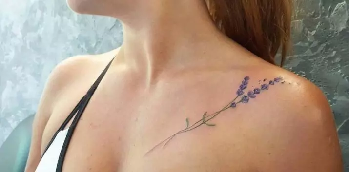 Tatuaggio con lavanda: il valore dei tatuaggi per le ragazze e per gli uomini, schizzi. Tatuaggio a portata di mano e sulla clavicola, sulla gamba e sul polso, sulle costole e su altre parti del corpo 13943_27