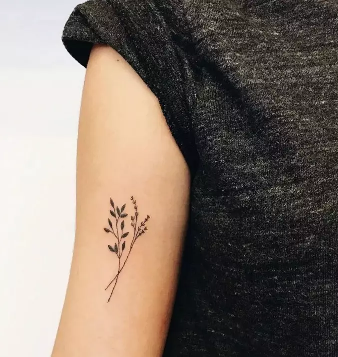 Тетоважа со лаванда: вредноста на тетоважите за девојки и за мажи, скици. Тетоважа на рака и на кловик, на ногата и на рачниот зглоб, на ребрата и на други делови на телото 13943_3