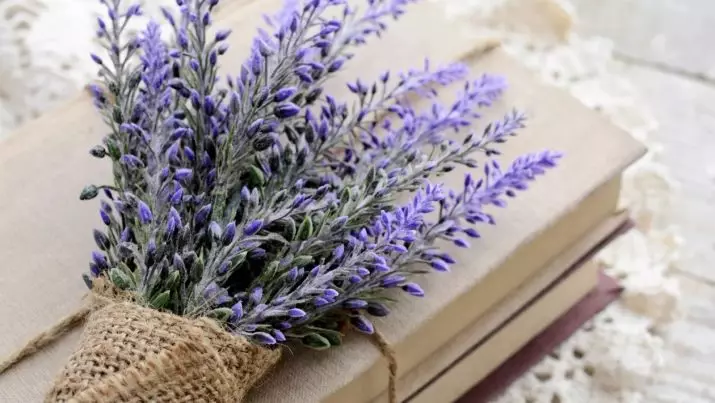 Lavender နှင့်အတူ tattender - မိန်းကလေးများနှင့်အမျိုးသားများအတွက်တက်တူးထိုးခြင်း၏တန်ဖိုး။ လက်နှင့်လက်ကောက်ဝတ်အပေါ်, လက်ကောက်ဝတ်အပေါ်, လက်ကောက်ဝတ်အပေါ်, နံရိုးနှင့်ခန္ဓာကိုယ်၏အခြားအစိတ်အပိုင်းများအပေါ်လက်ပေါ်မှာနှင့်လက်ပေါ်မှာတက်တူးထိုး 13943_5