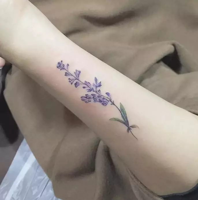 Tattoo ine lavender: Iko kukosha kweTattoos yevasikana uye kune varume, sketches. Tattoo paruoko uye pane clavicle, pagumbo uye pachiuno, pamabvu uye pane dzimwe nhengo dzemuviri 13943_8