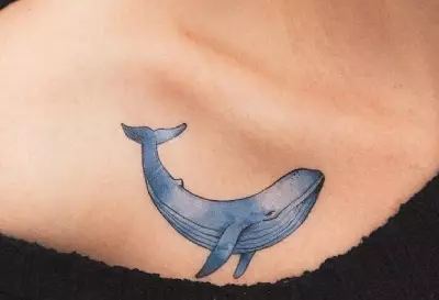 Tattoo mei walfisken: de wearde fan tatoeaazjes en sketsen, tatoet foar famkes en foar manlju. TATTOO oan 'e hân en op ribben, blauwe en wite walfisken. Lytse en grutte tatoeaazjes 13963_21