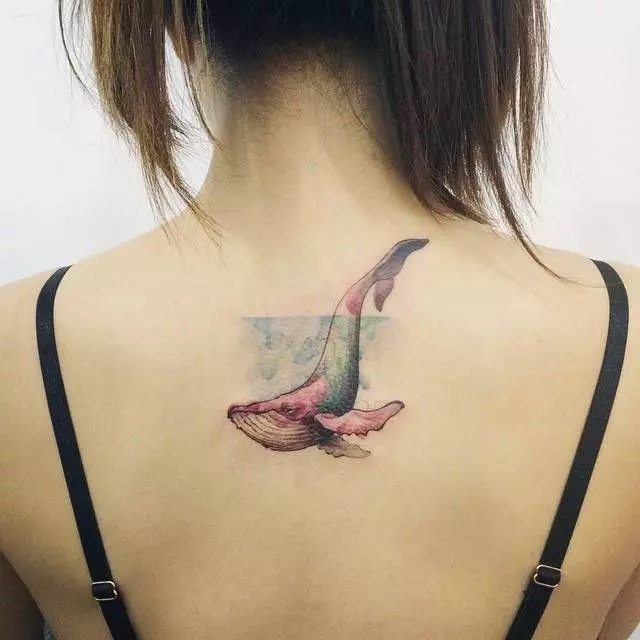 Tatuatge amb les balenes: el valor de tatuatges i dibuixos, tatuatge per a les nenes i per als homes. Tatuatge a la mà i en les costelles, blau i balenes blanques. Poc i tatuatges grans 13963_23