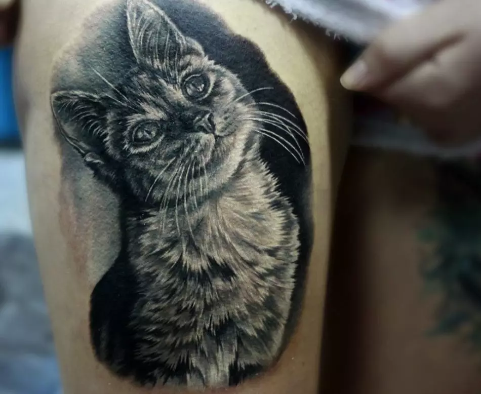 タトゥー「猫」（64写真）：スケッチと意味、手の上の黒猫、体の他の部分、帽子の猫、男性と女性のためのタトゥーの猫 13966_29