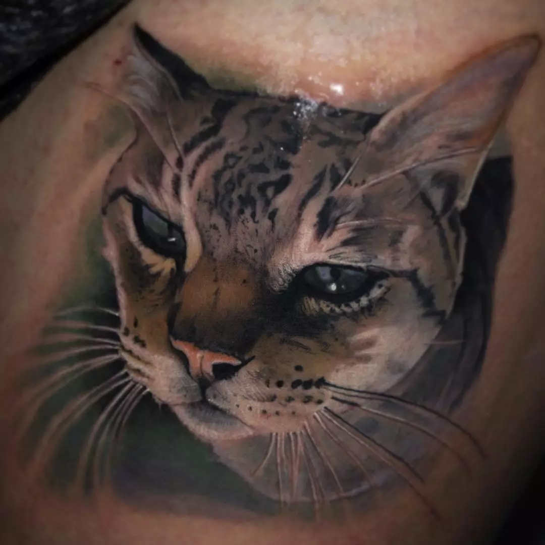 タトゥー「猫」（64写真）：スケッチと意味、手の上の黒猫、体の他の部分、帽子の猫、男性と女性のためのタトゥーの猫 13966_32