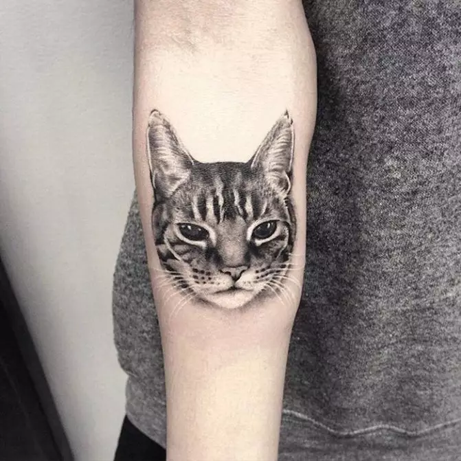 タトゥー「猫」（64写真）：スケッチと意味、手の上の黒猫、体の他の部分、帽子の猫、男性と女性のためのタトゥーの猫 13966_6