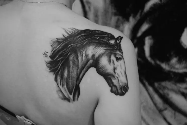 Tato dengan kuda: sketsa dan nilai tato, kuda tato untuk anak perempuan dan untuk pria, tato di tangan dan di belakang, tengkorak kuda dan kuda berapi-api, pilihan lain 13974_2