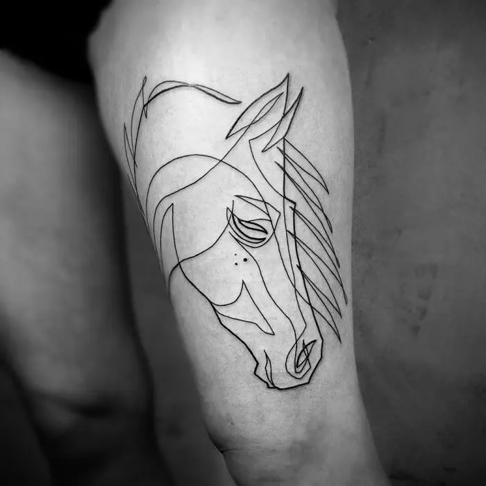Tatuaj cu cai: schițe și valoare de tatuaje, cai de tatuaj pentru fete și pentru bărbați, tatuaj la îndemână și pe spate, craniu de cai și cal de foc, alte opțiuni 13974_22