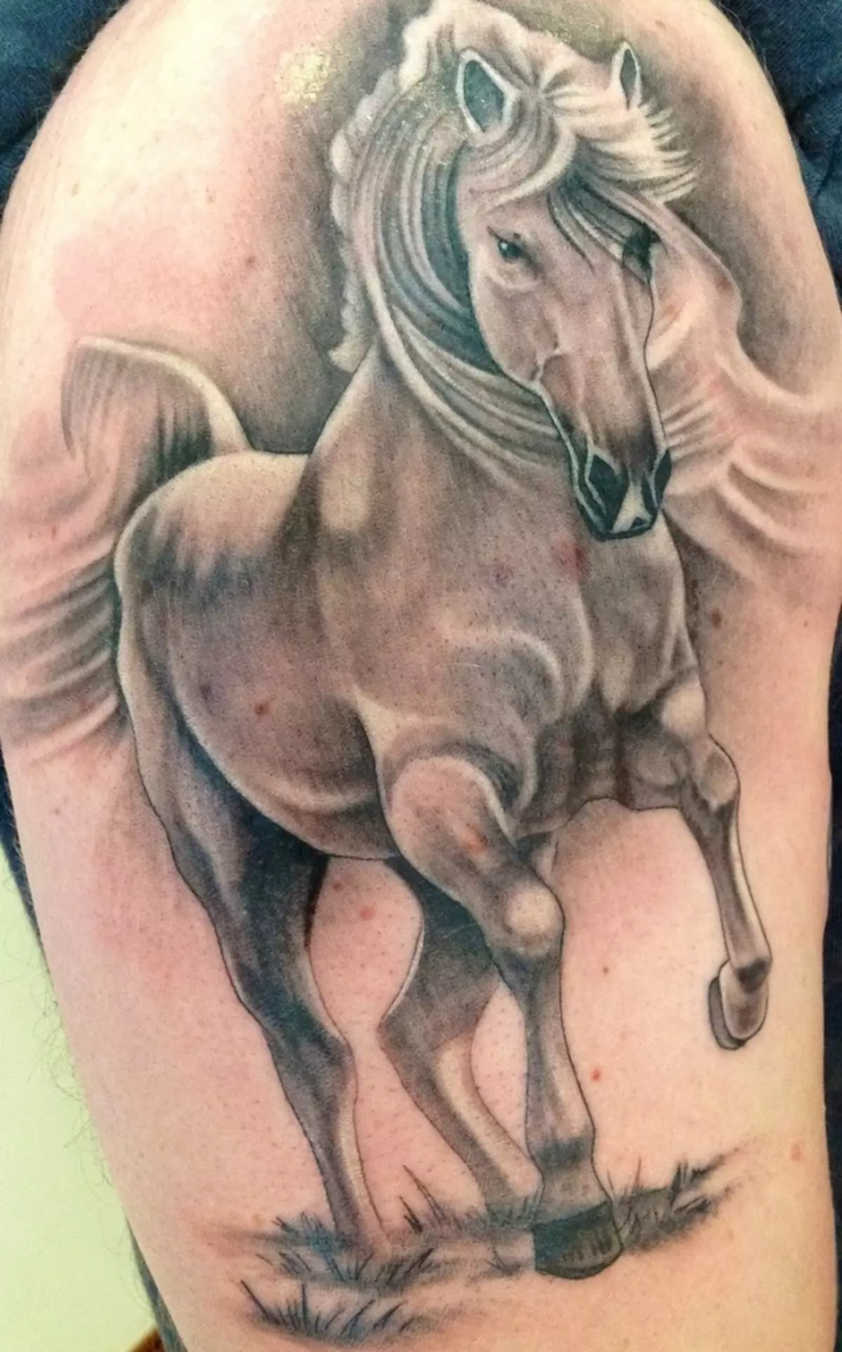 Tatuaj cu cai: schițe și valoare de tatuaje, cai de tatuaj pentru fete și pentru bărbați, tatuaj la îndemână și pe spate, craniu de cai și cal de foc, alte opțiuni 13974_26