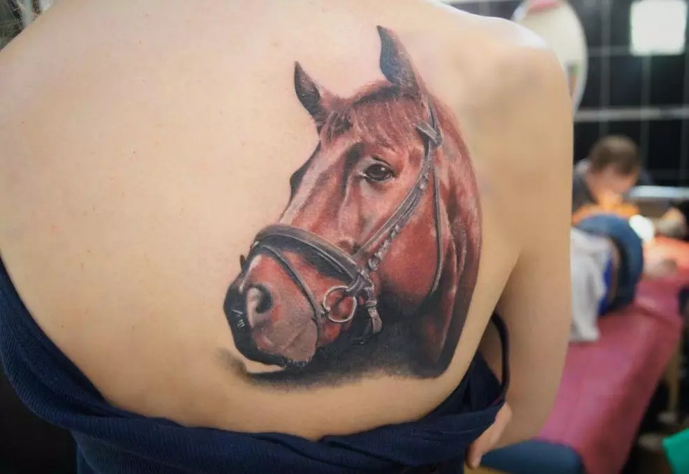 Tato dengan kuda: sketsa dan nilai tato, kuda tato untuk anak perempuan dan untuk pria, tato di tangan dan di belakang, tengkorak kuda dan kuda berapi-api, pilihan lain 13974_4