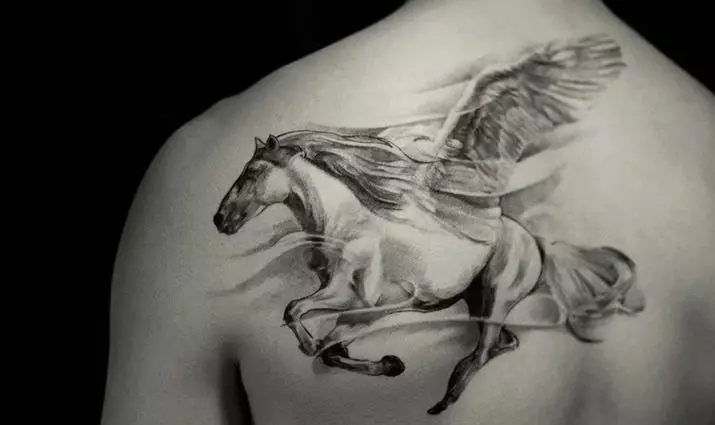 Tato dengan kuda: sketsa dan nilai tato, kuda tato untuk anak perempuan dan untuk pria, tato di tangan dan di belakang, tengkorak kuda dan kuda berapi-api, pilihan lain 13974_47