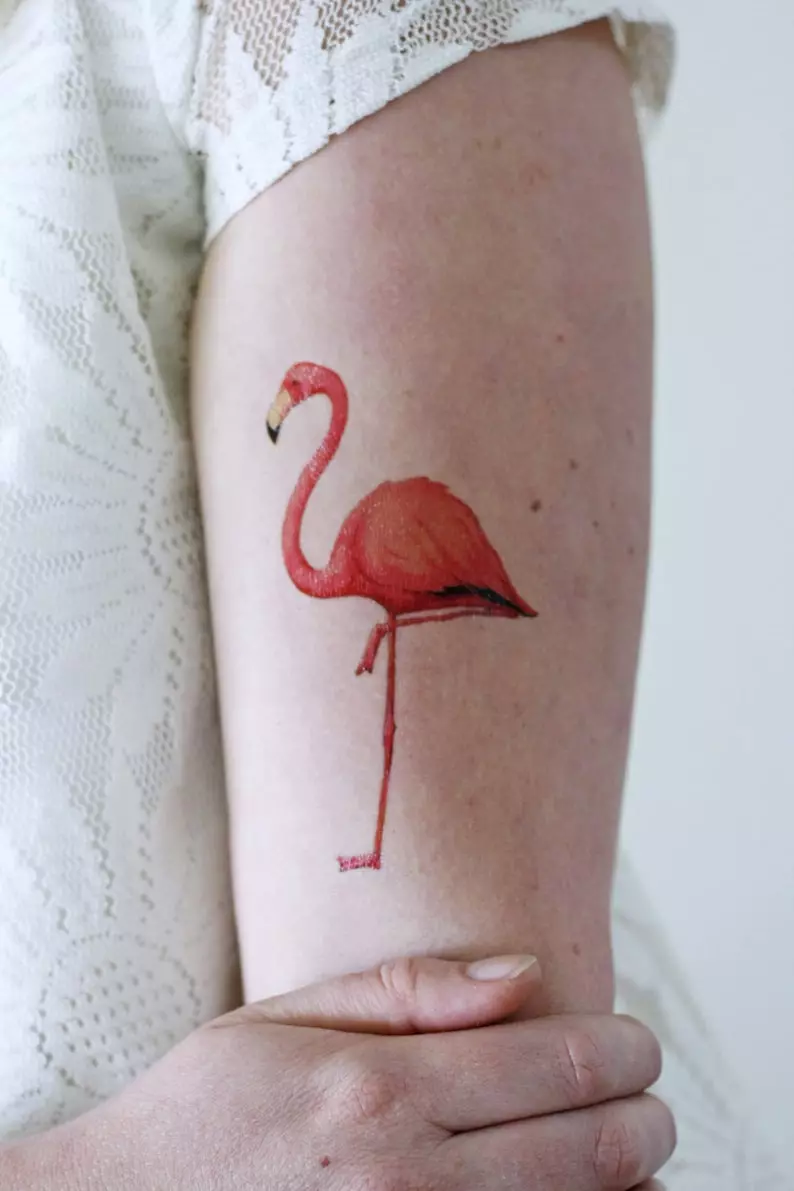 Tattoo yokhala ndi Flamingo: mtengo wa atsikana ndi amuna, zojambulajambula za ma tattoo. Tattoo 