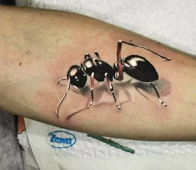 Tattoo 3D (55 foto): për vajzat dhe për burrat, skicat e merimangave dhe të tjerëve, sleeves në dorë dhe tatuazh në këmbë, në anën e pasme dhe në kofshë, në shpatull dhe në pjesë të tjera të trupit 13990_21