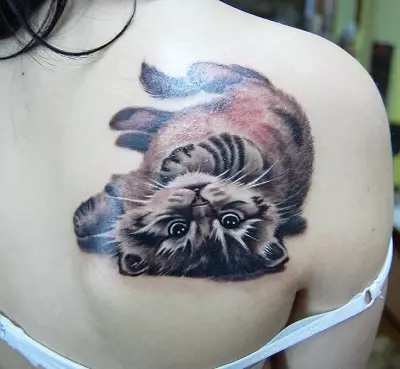 Tatuointi terät (45 kuvaa): luonnokset tatuoinnit, merkinnät ja kukat, kissat ja muut alkuperäisimmät kauniimmat tatuoinnit, pienet ja suuret yksinkertaiset tatuoinnit 14011_34