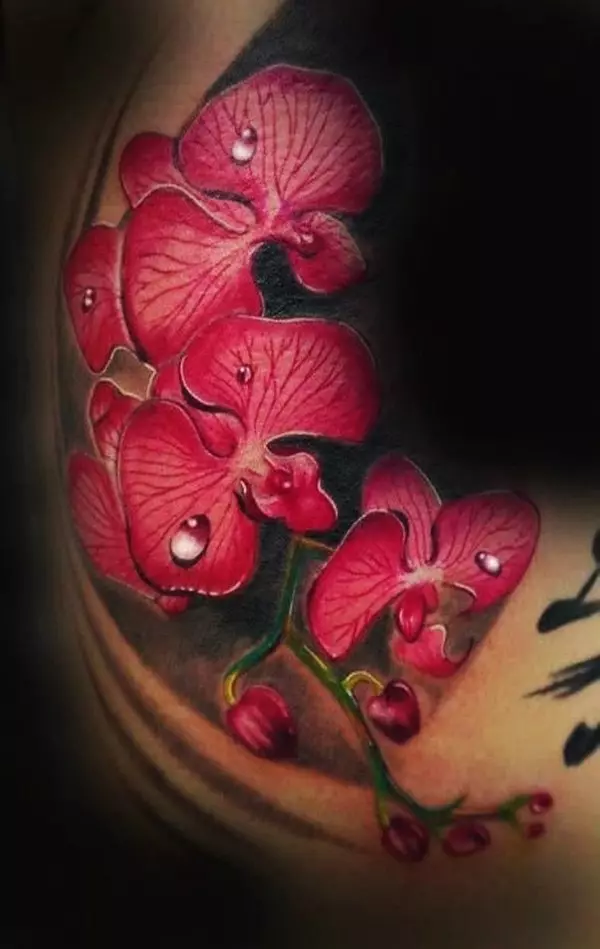 Tattoo ine orchids (57 photos): tattoo kukosha kwevasikana, sketch kuongorora. Tattoo paruoko uye gumbo, pane clavicle uye kumashure, pafudzi uye pane dzimwe nhengo dzemuviri 14034_12
