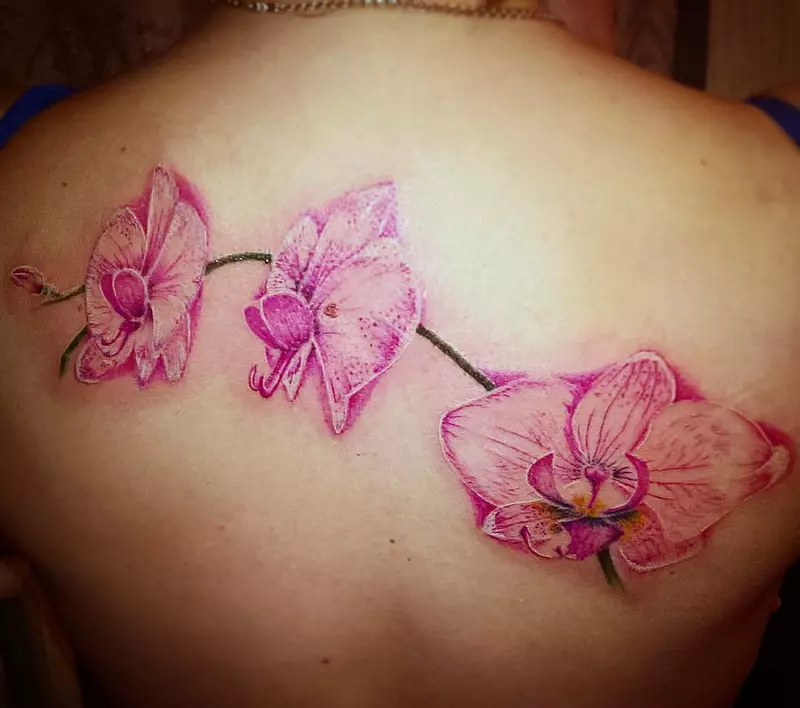 Tattoo ine orchids (57 photos): tattoo kukosha kwevasikana, sketch kuongorora. Tattoo paruoko uye gumbo, pane clavicle uye kumashure, pafudzi uye pane dzimwe nhengo dzemuviri 14034_34